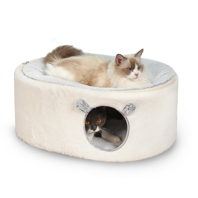 Indoor cat beds shop